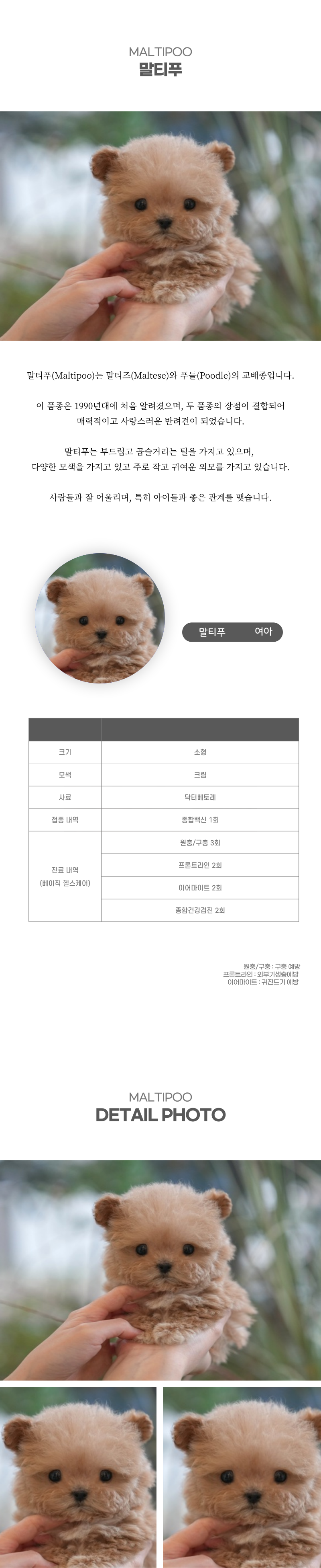 말티푸_상세이미지_2